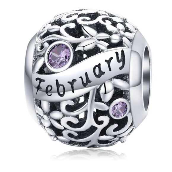925 Silver February Birthstone Charm - Picture 1 of 4